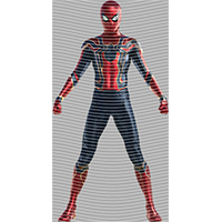Spider Man-SP250